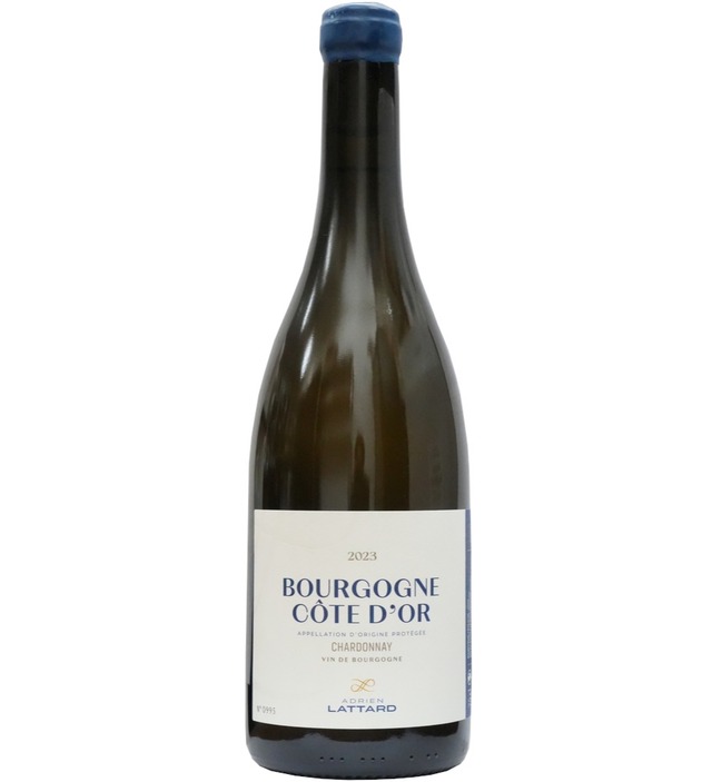 アドリアン ラター ブルゴーニュ コートドール ブラン 2023 Bourgogne Cote d'Or Adrien Lattard