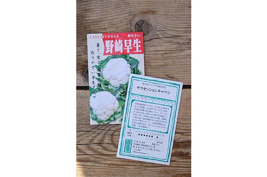 光郷城 畑懐さんの伝統野菜の種