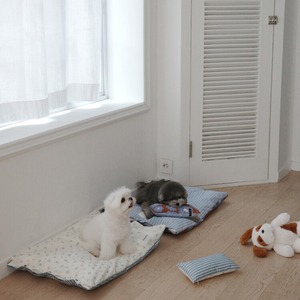 【予約】[ OHDIBS ] Homey Warmy Topper - Full Layer Set｜NO.2