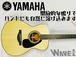 【YAMAHA】LS16 ARE