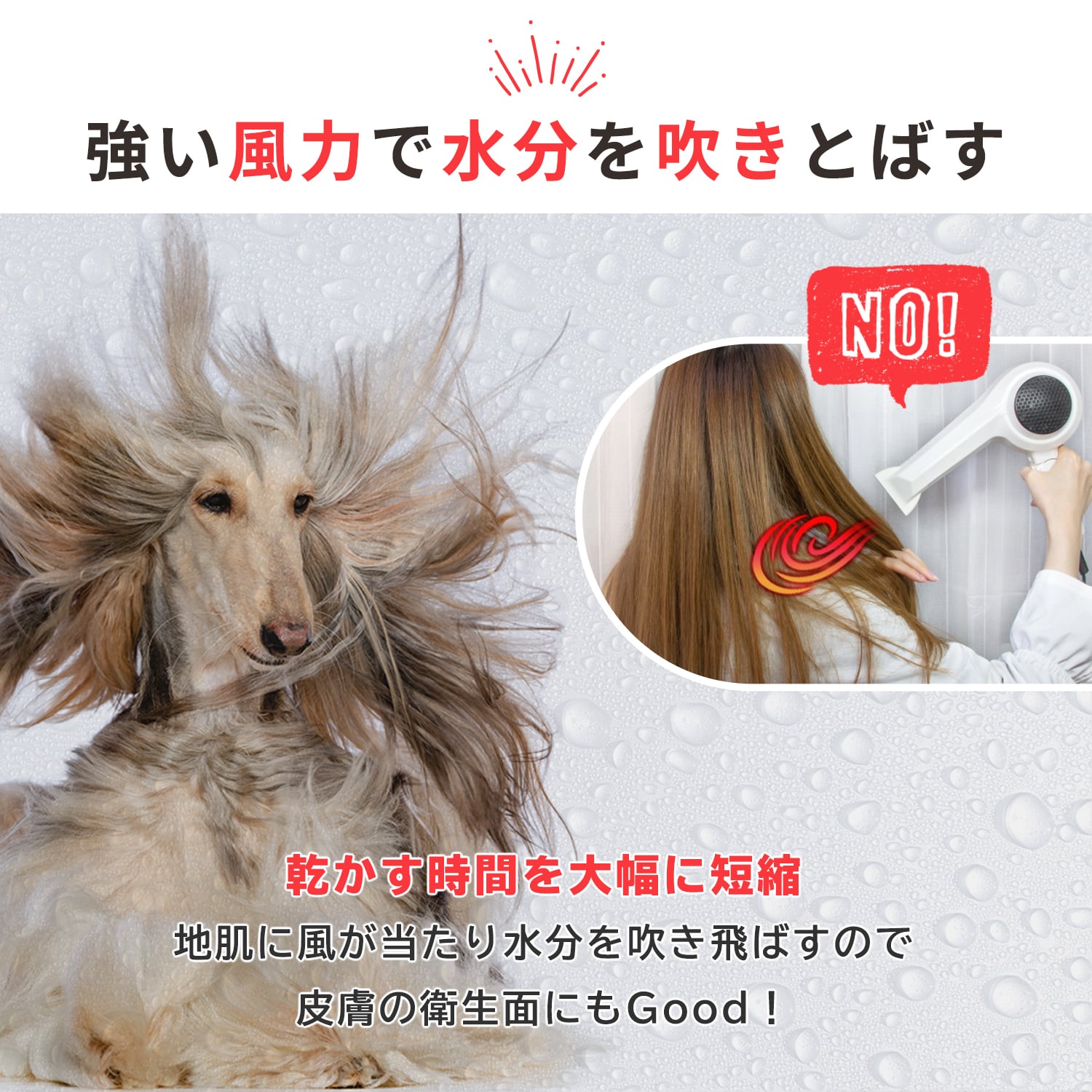 ペット ドライヤー「メガブロー」風量・温度無段階調節 ≪頑丈な3mm