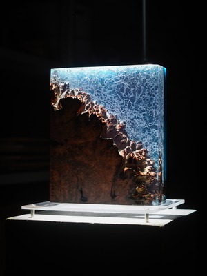 Cube 24size 胡桃瘤特選×DeepWater