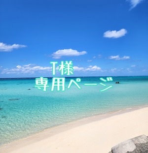 T様専用ページ