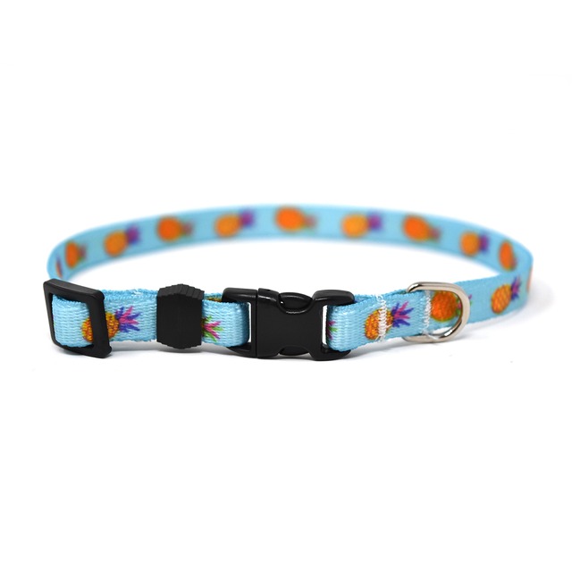 Pineapple Party　首輪＋リードセット Sサイズ - Yellow Dog Design