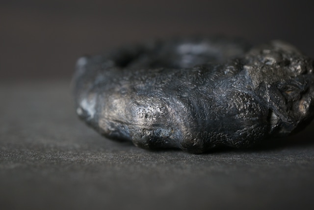 イギリス産黄鉄鉱化アンモナイト  Pyritized Ammonite 1899