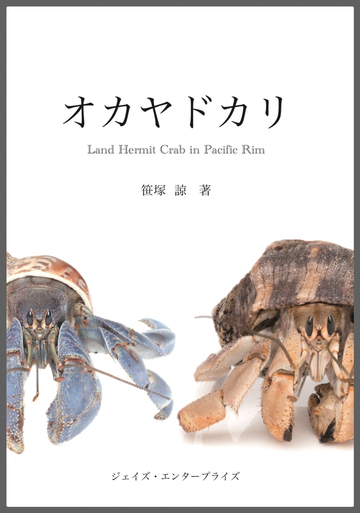 オカヤドカリ Land Hermit Crab in Pacific Rim | One's habitat