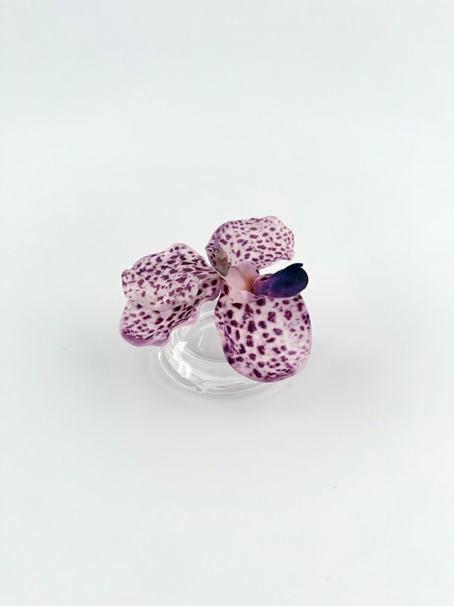 Mini 018