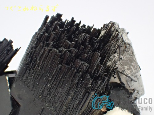 ショール ブラック・トルマリン 鉄電気石 ナミビア TM-913