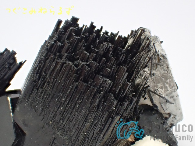 スモーキークォーツ 煙水晶 ナミビア TM-905