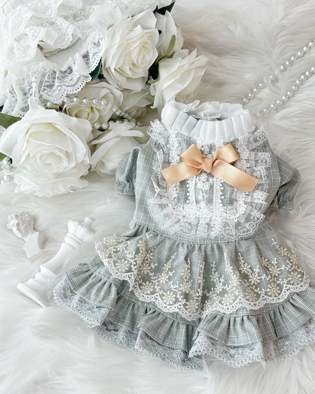 Orange frill ribbon pet dress