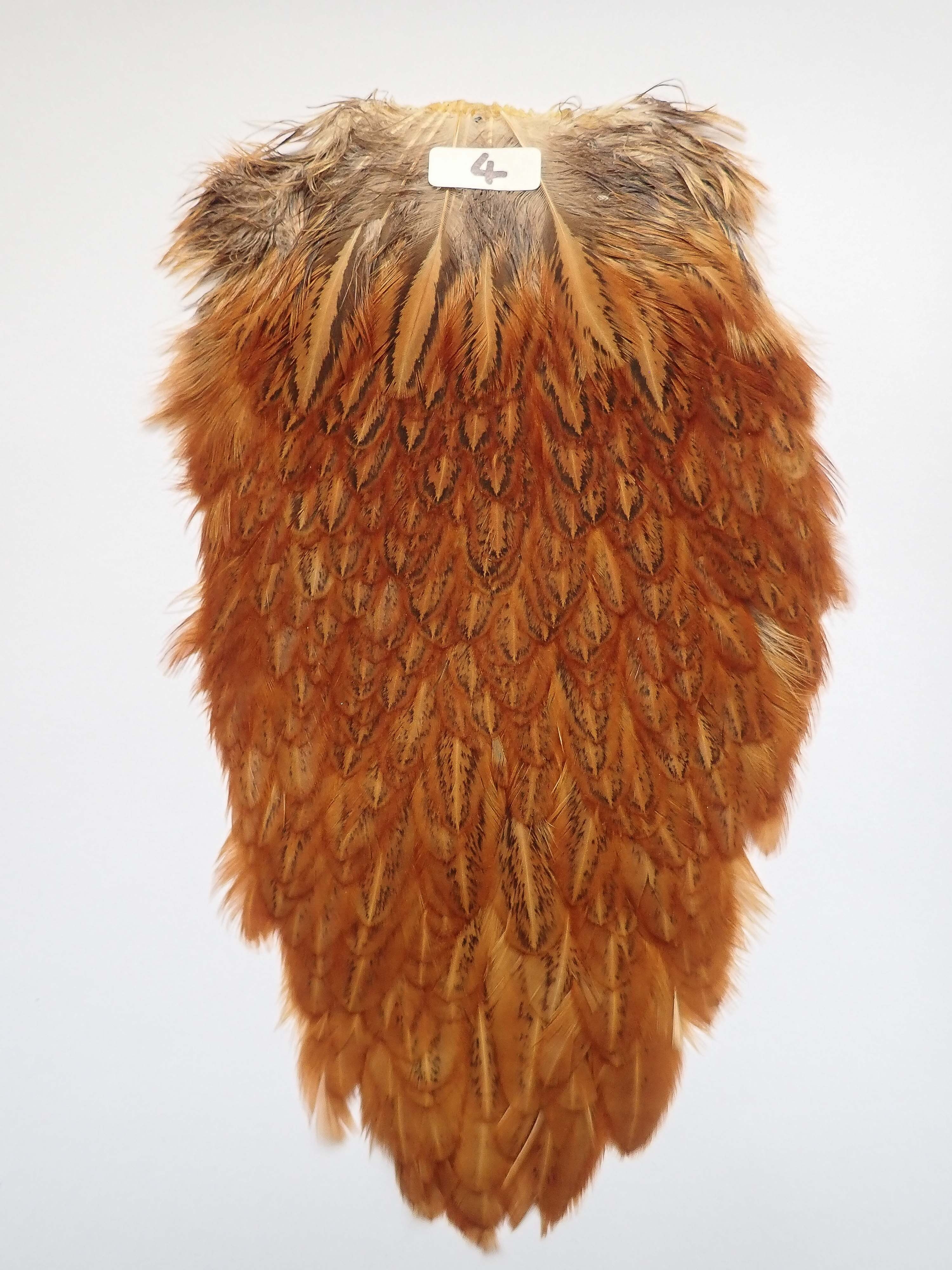 サドルハックル HEN SADDLE HACKLE | Anglefield Fly Supplies