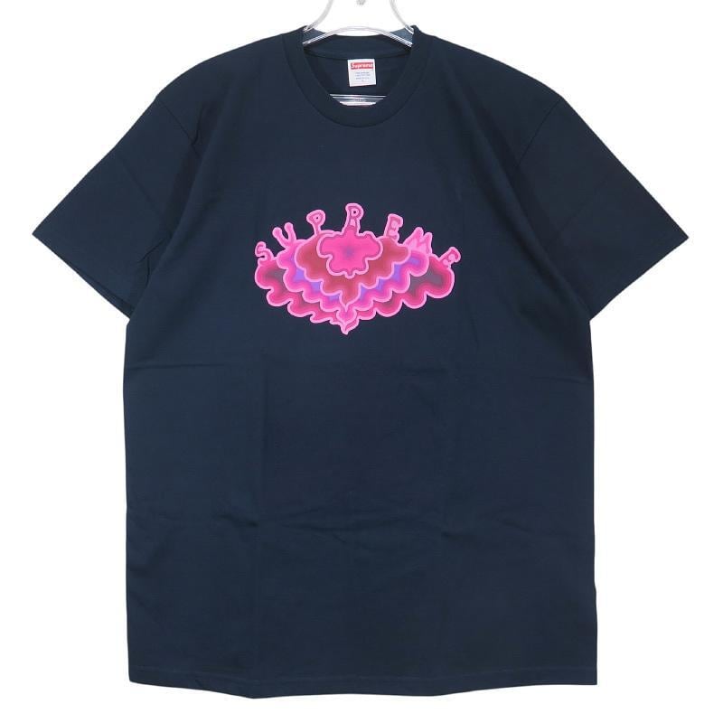THE NORTH FACE ザ ノース フェイス S/S INSTINCT EXPLORE TEE NT12021