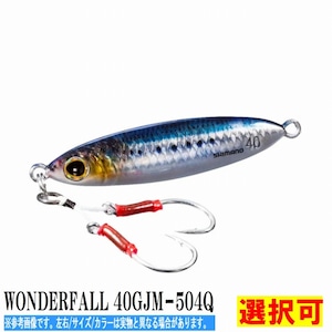 ＷＯＮＤＥＲＦＡＬＬ 40ＧＪＭ−504Ｑ 004