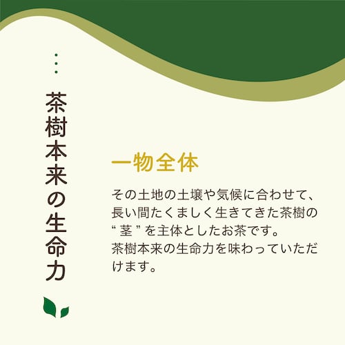 掛川三年番茶【茶葉】100g | hiramito