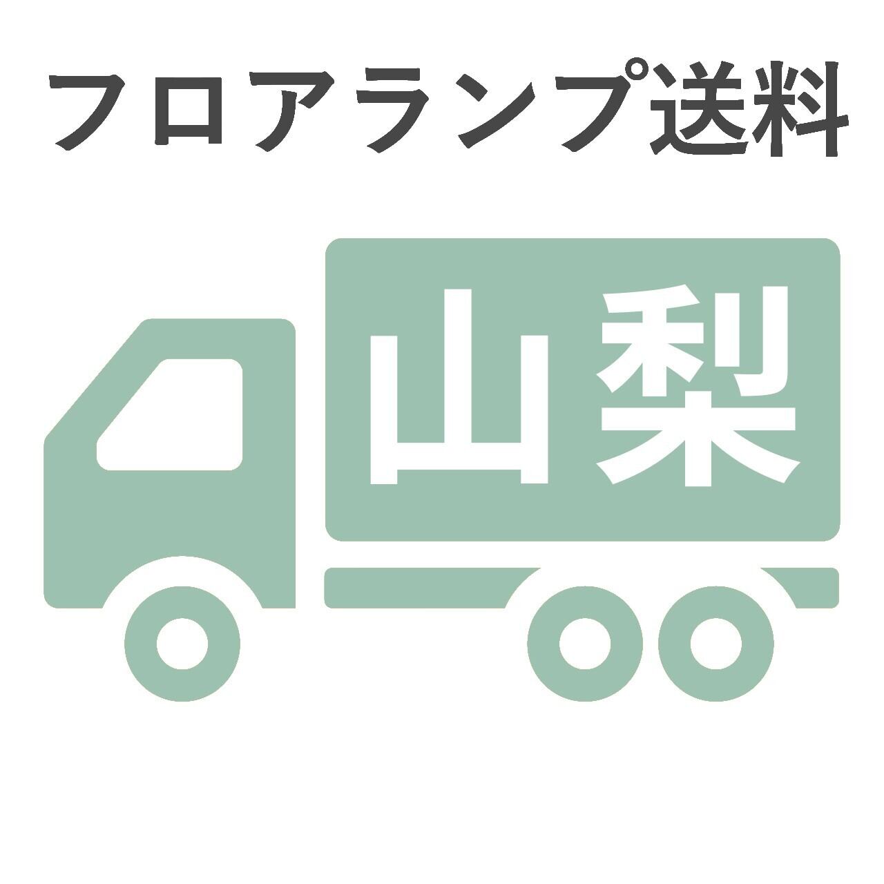 BL-F481,484,806送料 山梨