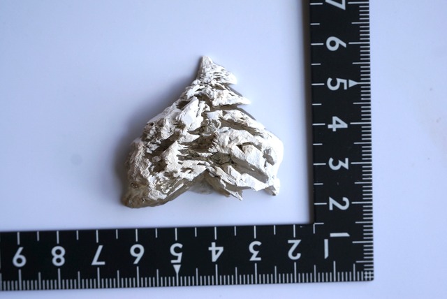 クリスマスツリーセレナイト Selenite ①