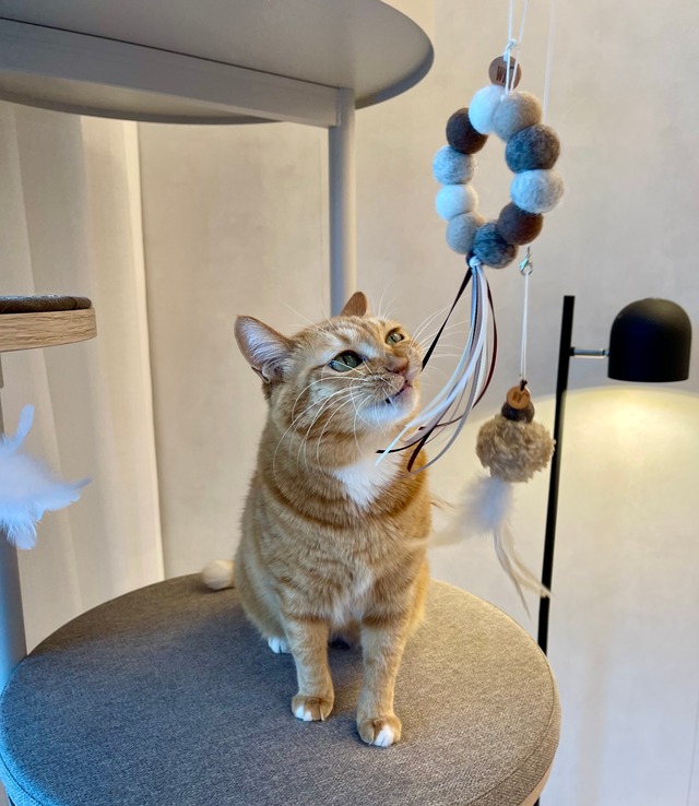 white christmas オーナメントTOY from WETNOSE キャットニップ クリスマス