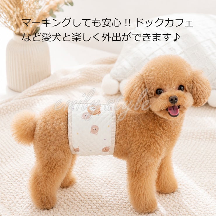 ワンちゃん用マナーベルト☆ マナーウェア 男の子 ストレッチ マナー