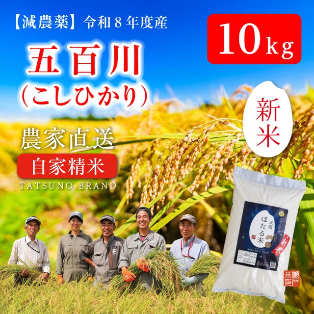 【R7年度 新米】減農薬 ミルキークィーン　10kg　モチモチふっくらした食感でおにぎりやお弁当のごはんに最適　「こしひかり」に優ると高い評価です♪