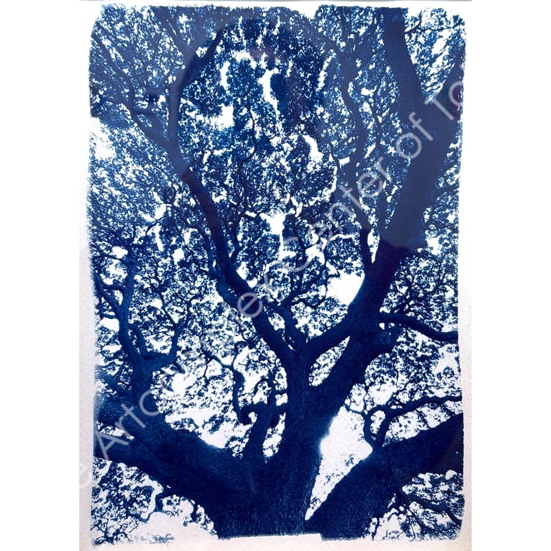 やましたみか「ʻohai」