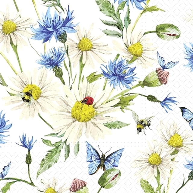 【TETE a TETE】バラ売り2枚 ランチサイズ ペーパーナプキン Ladybird in Daisies ホワイト