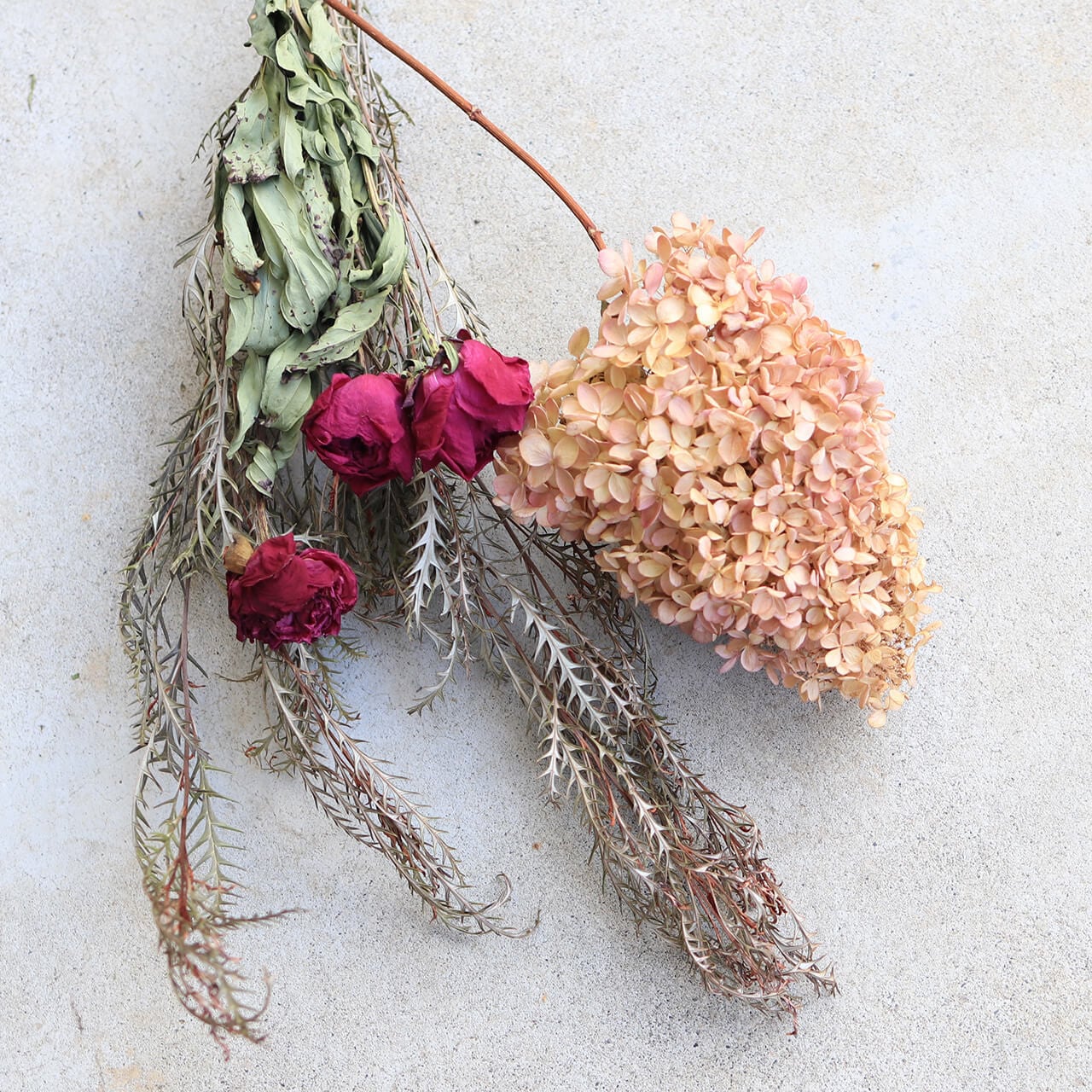 ドライフラワー★大きめネイティブリース★プロテア　アイバンホー　グレビレア ドライフラワー ネイティブフラワー】グレビレア アイバン ( グレビア