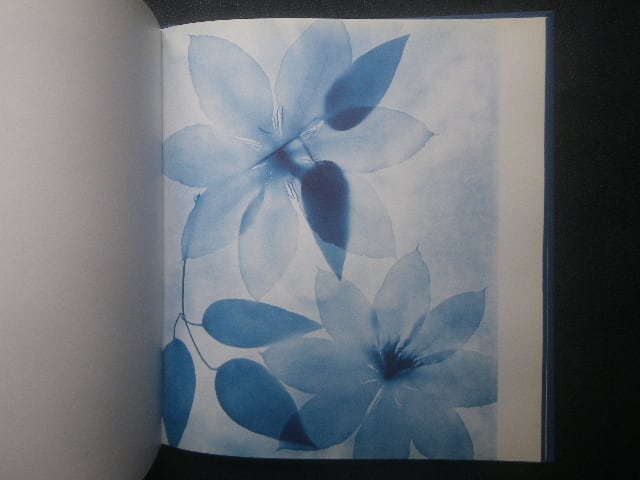 Zeva Oelbaum Blue Prints サイアノタイプ 写真集 植物標本 Zeva Oelbaum Blue Prints サイアノタイプ 写真集 植物標本