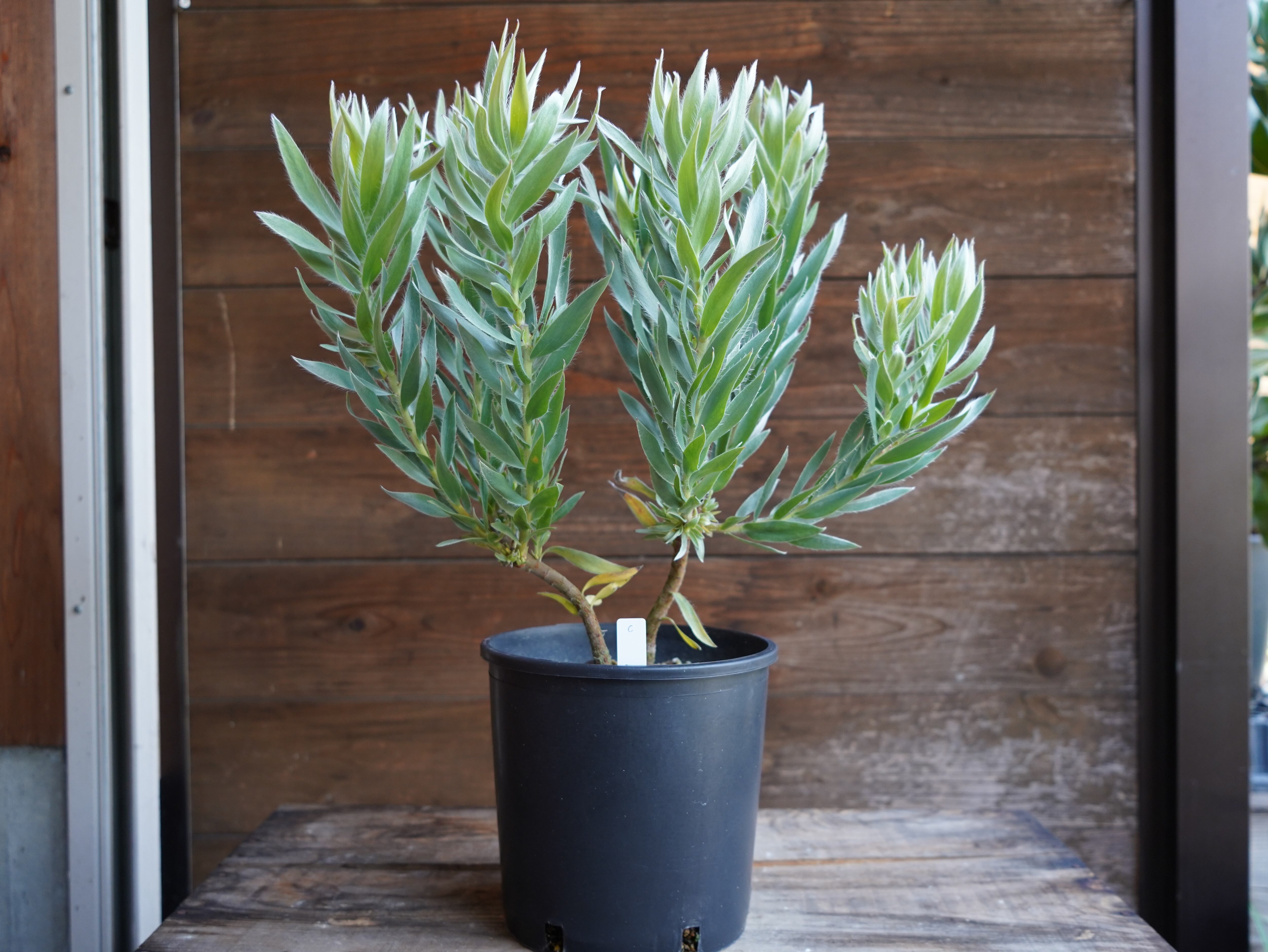 ＜専用＞　３点おまとめ