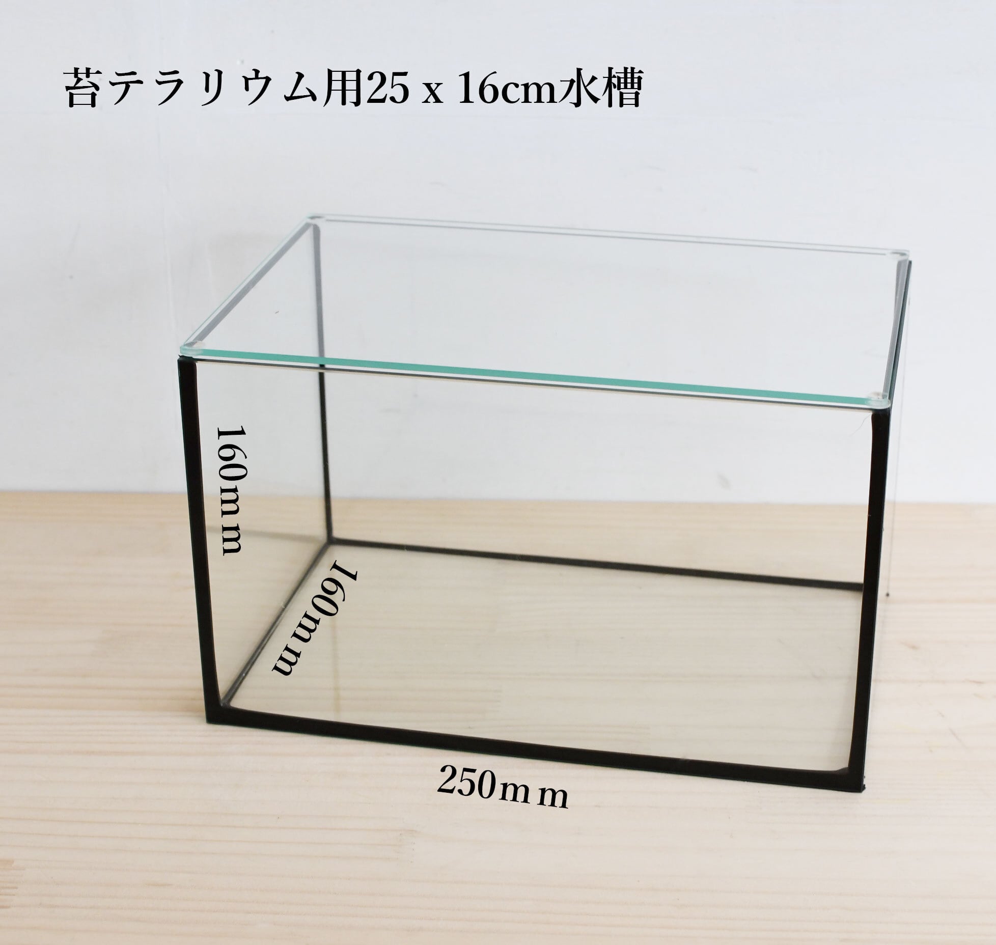 【ガラス容器】 苔テラリウム用 25ｘ16cmガラス水槽 （250ｘ160ｘｈ160mm）
