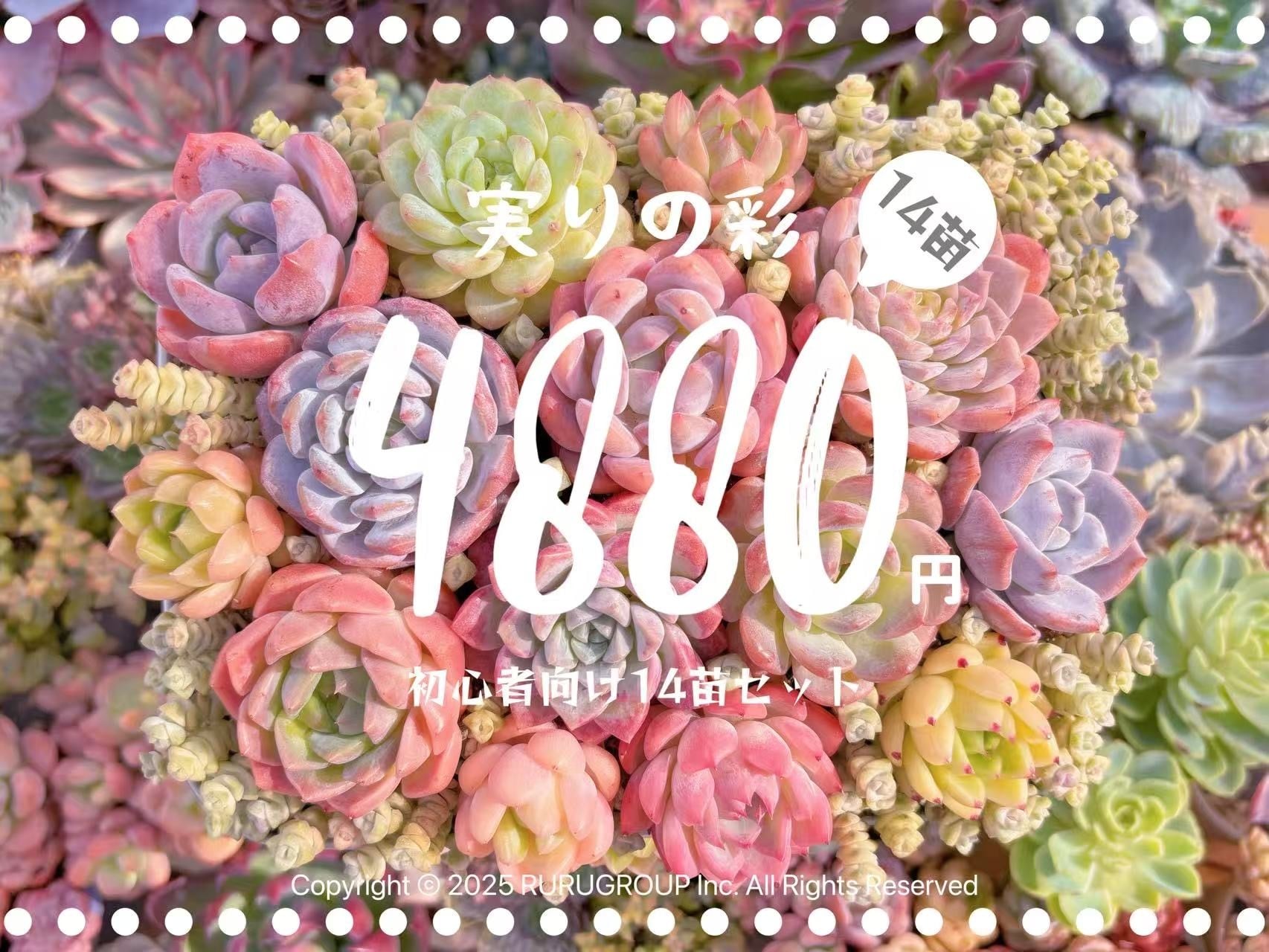 ★実りの彩★14点セット