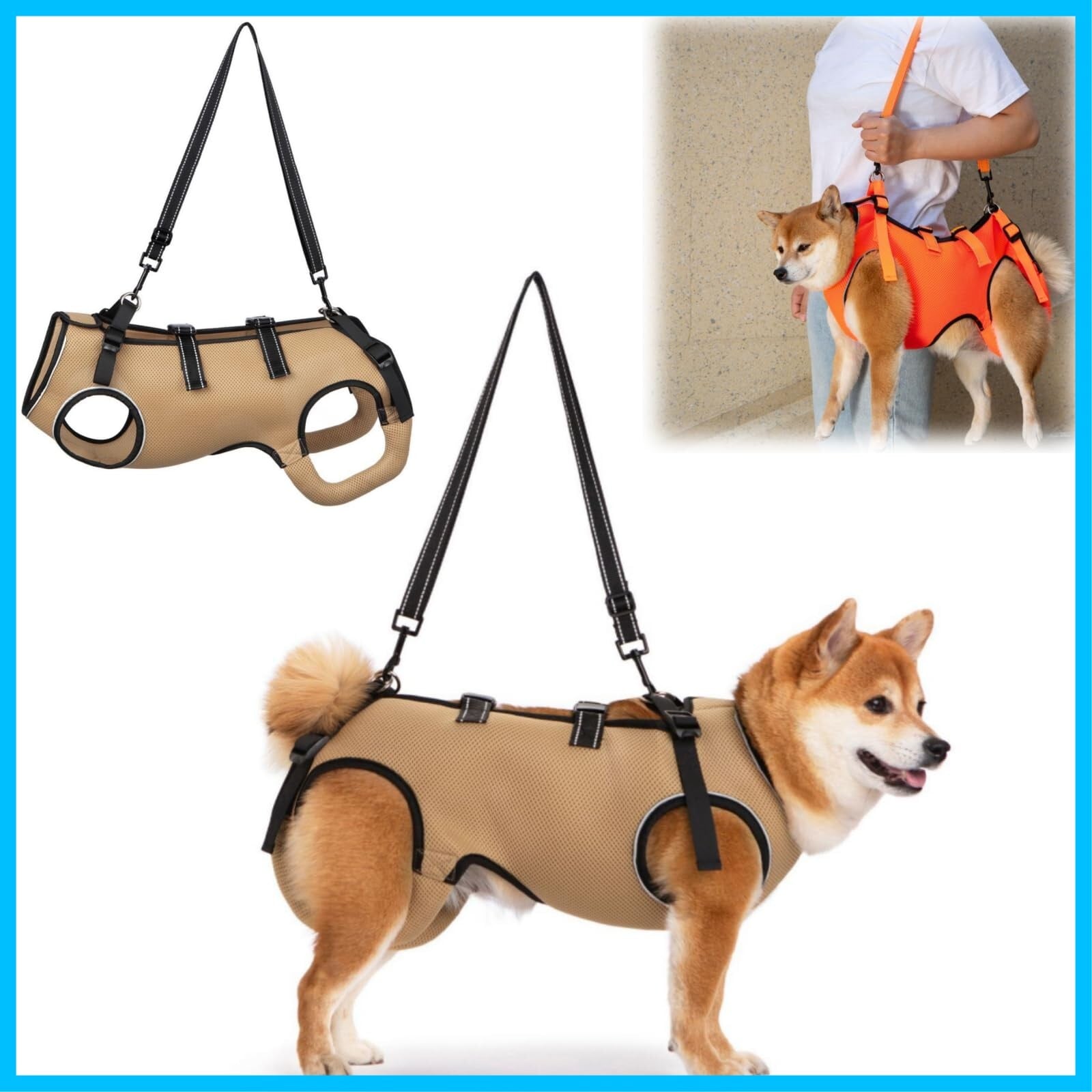 犬のリハビリテーション 楽天市場】☆セール50％OFF☆【楽天ランキング1位受賞】犬