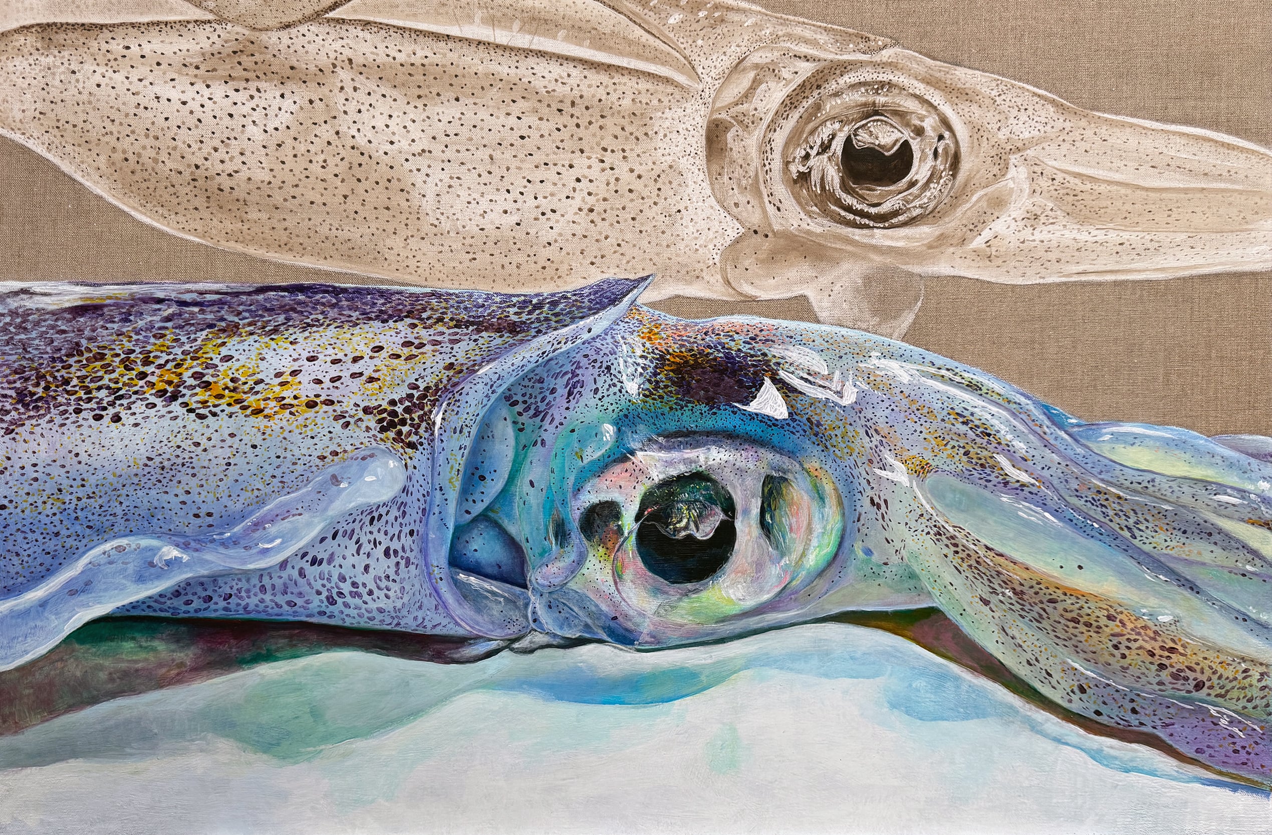 油彩イカ画 Oil color | miyauchiyuka