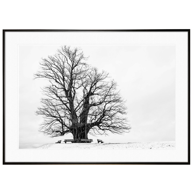 冬写真 インテリア モノクロアートポスター額装 AS0970