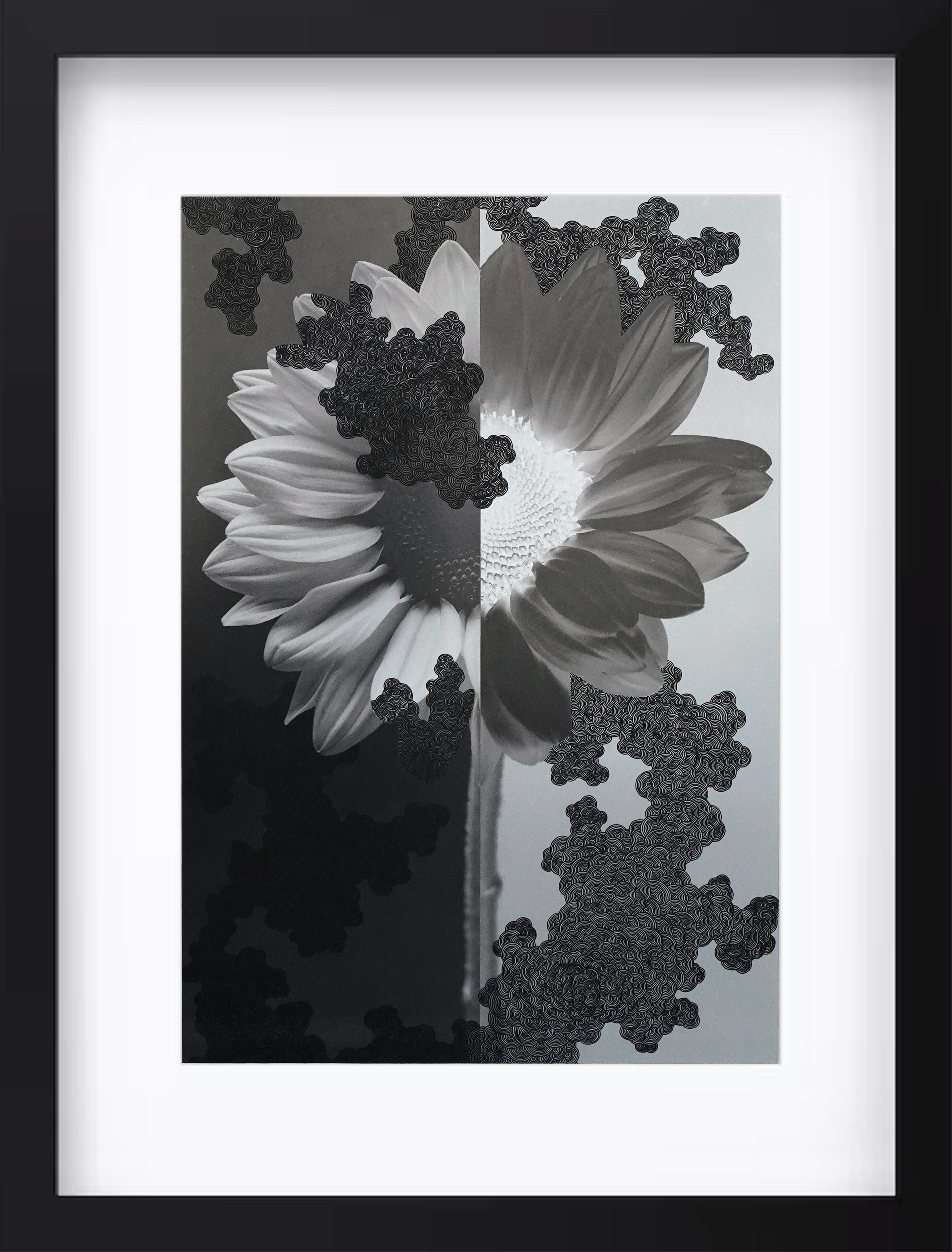 ヒマワリ"憧れと裏切り"#1