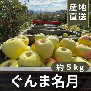 ぐんま名月 約５kg