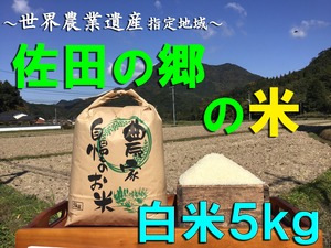 【令和５年新米】佐田の郷の米（白米5kg／玄米5.5kg）【慣行栽培米】