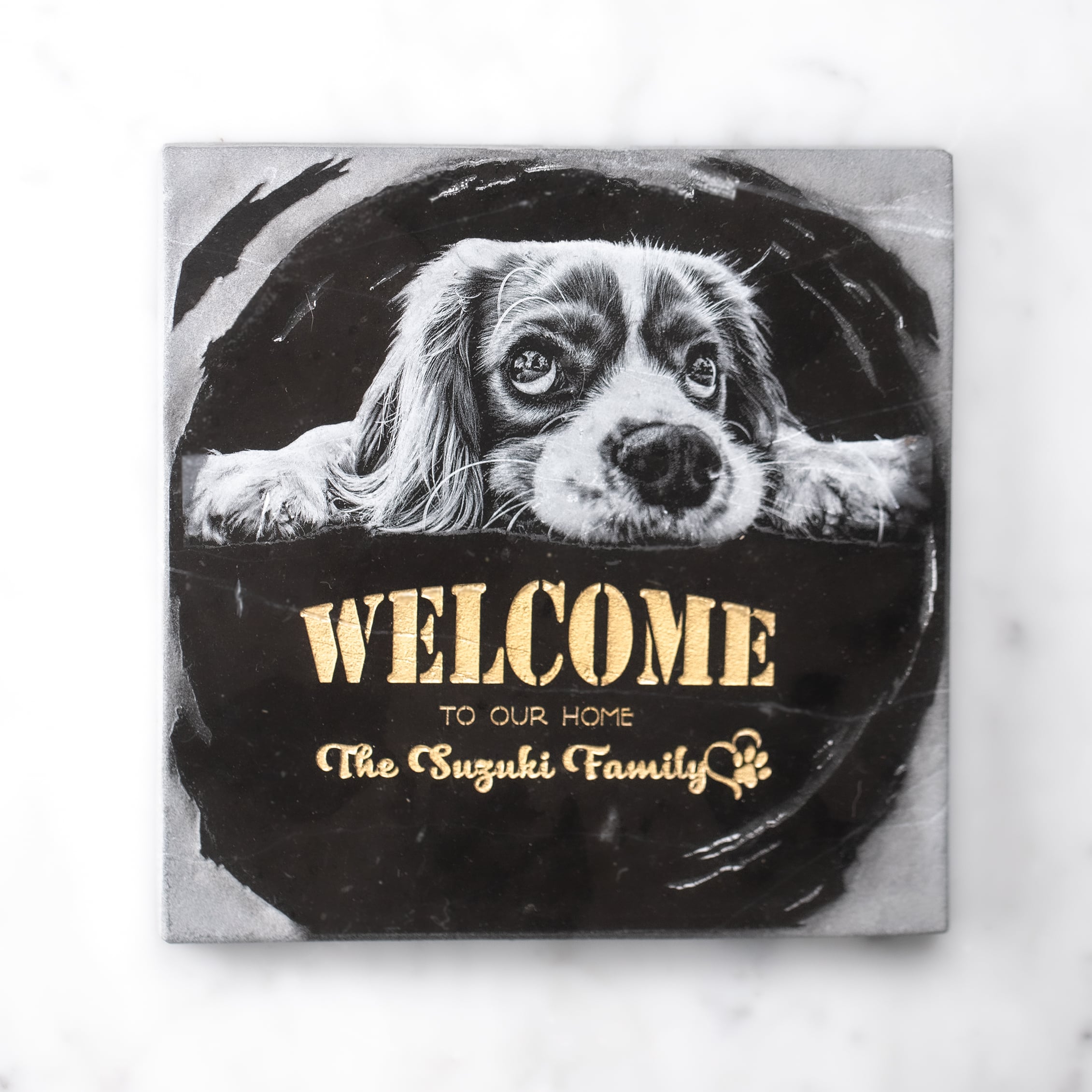 2fba54c47bd20ca7a1396a6ca46a78