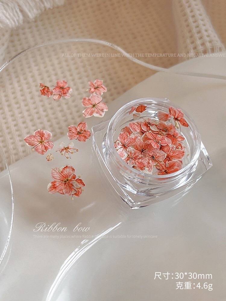 オリジナルカラー押し花リング　押し花　小花　ドライフラワー 押し花/ドライフラワー（単色)再入荷未定 | Nail Shop Nail smile