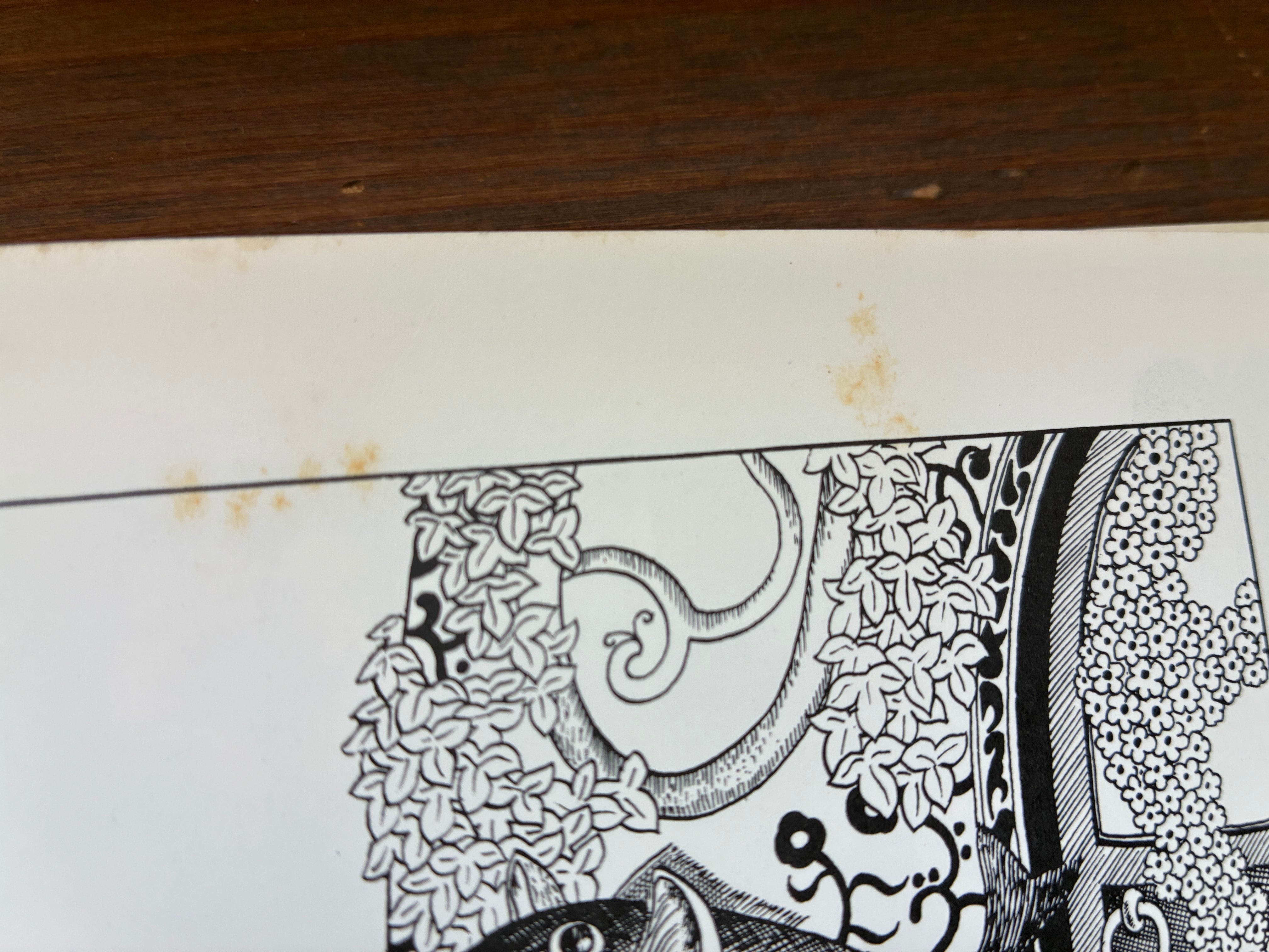 青猫島コスモス紀