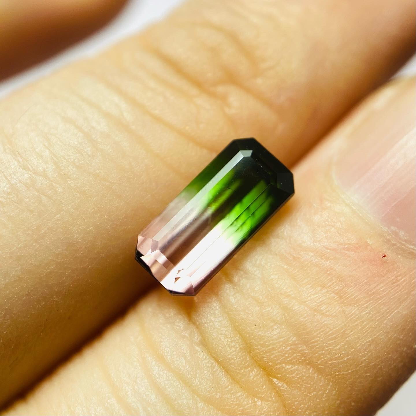 景色の見えるトルマリン3 春〜桜・新緑