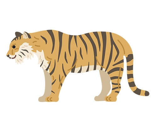 横から見た、虎のイラスト | イラストセンター有料素材販売
