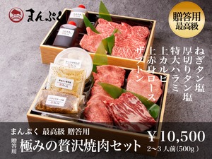 【贈答用】極みの贅沢焼肉セット（2～3人前 500g）