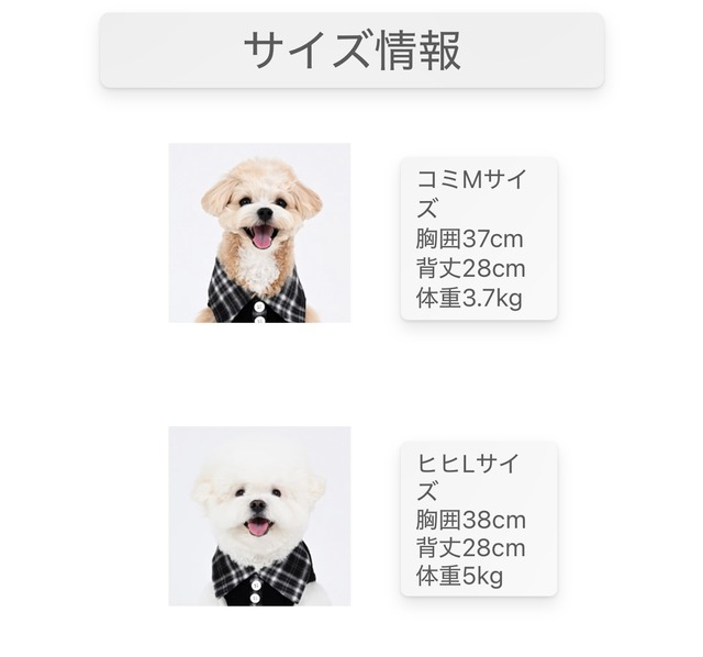 足を通さない襟付きシャツ ‐ (CREAM)