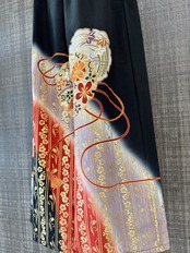 Long skirt 684