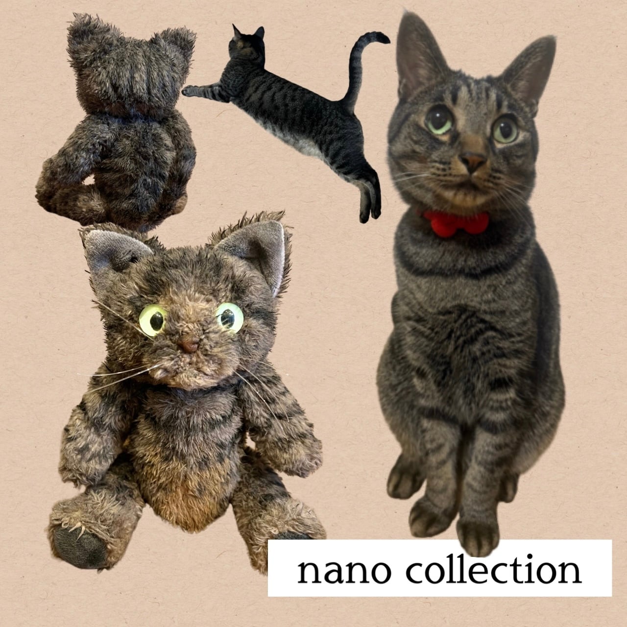 ぬいねこ オーダーのご案内 | 猫のぬいぐるみ、ぬいねこのお店 nano