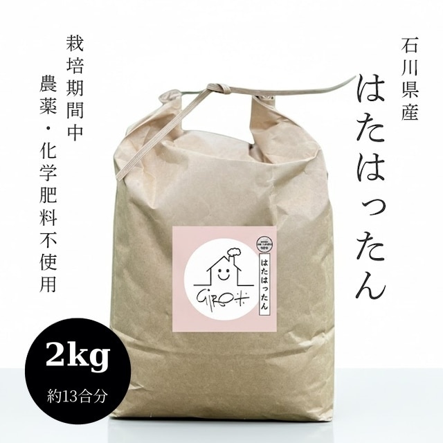 2kg  石川県産「はたはったん」