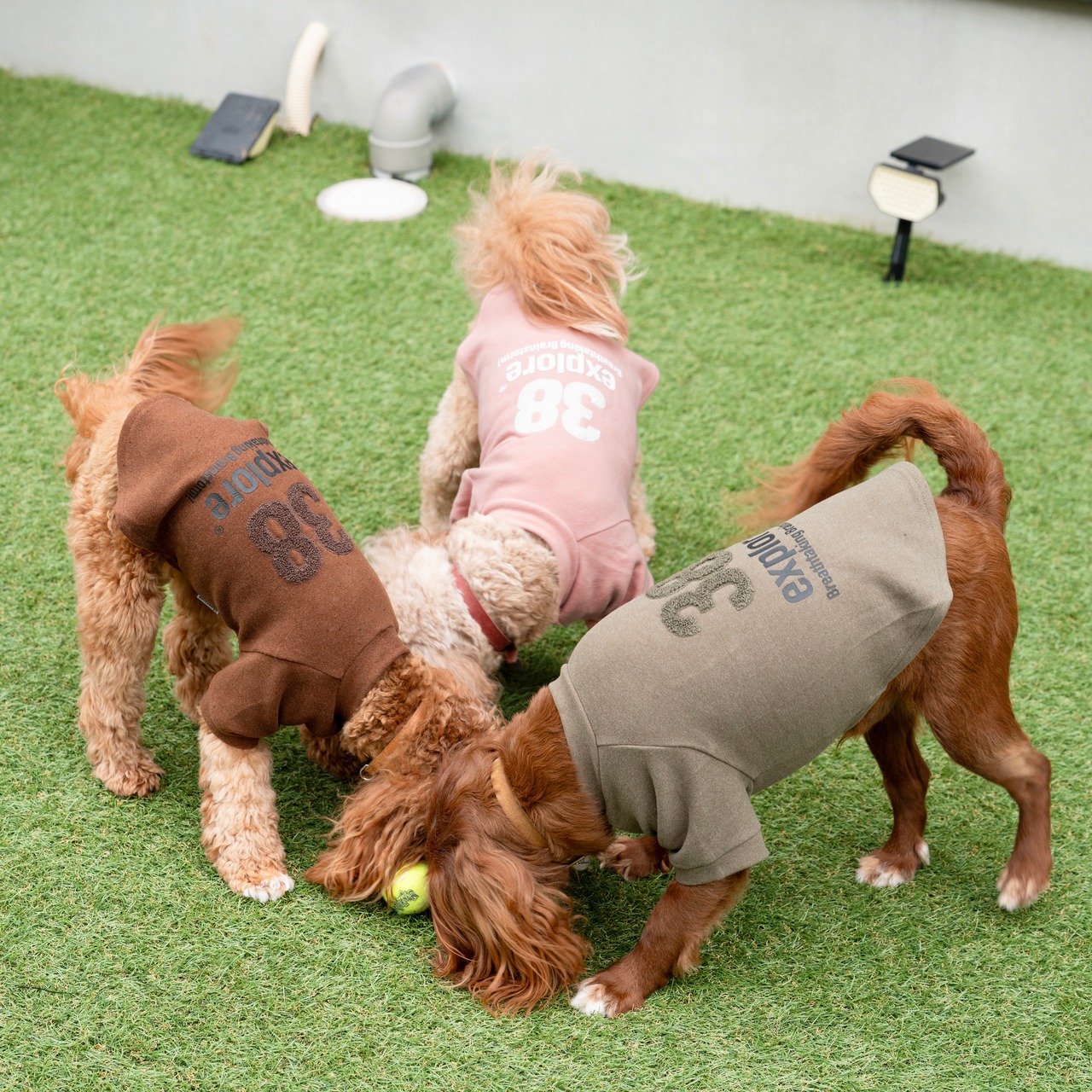 38DOG LOGO EMBROIDERY TEE / PINK