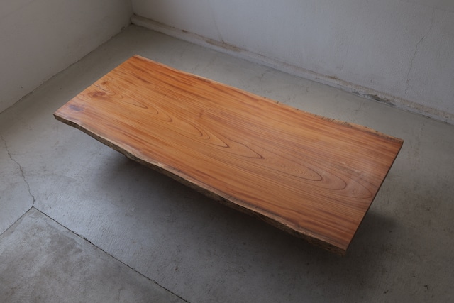 欅 Japanese Zelkova