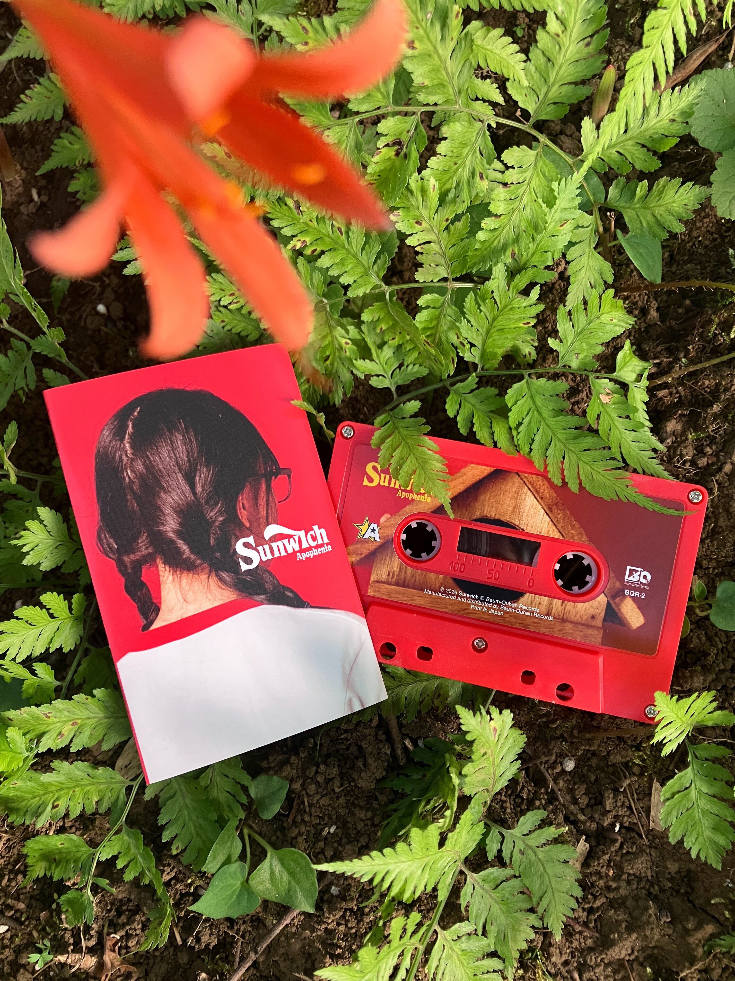 Solitude 2:14 am - Fading Away（Vinyl） | ゴヰチカ商店
