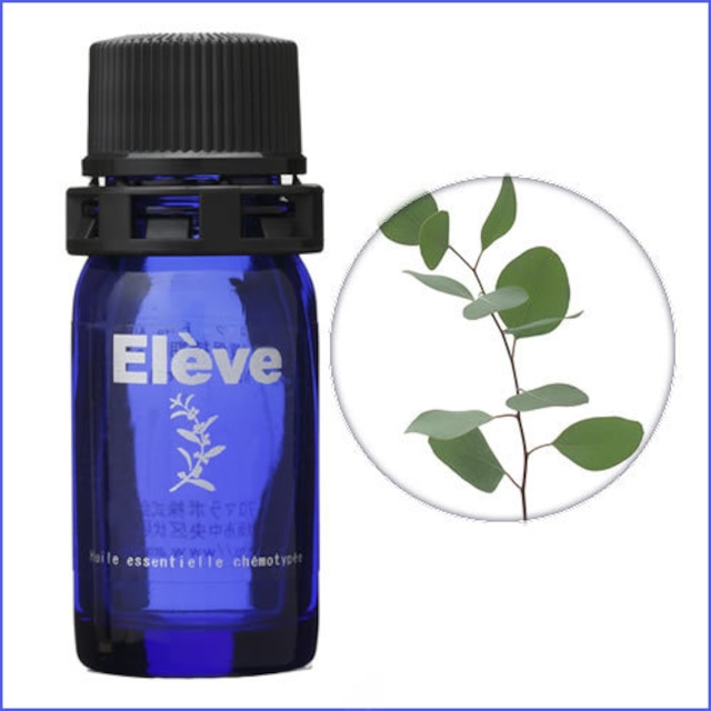 サイプレス  １０ml　/ Elève